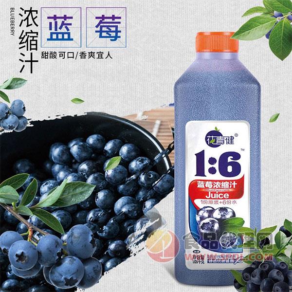 花青健蓝莓浓缩汁1.05kg