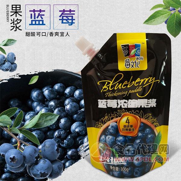 莓文化蓝莓浓缩果浆300g