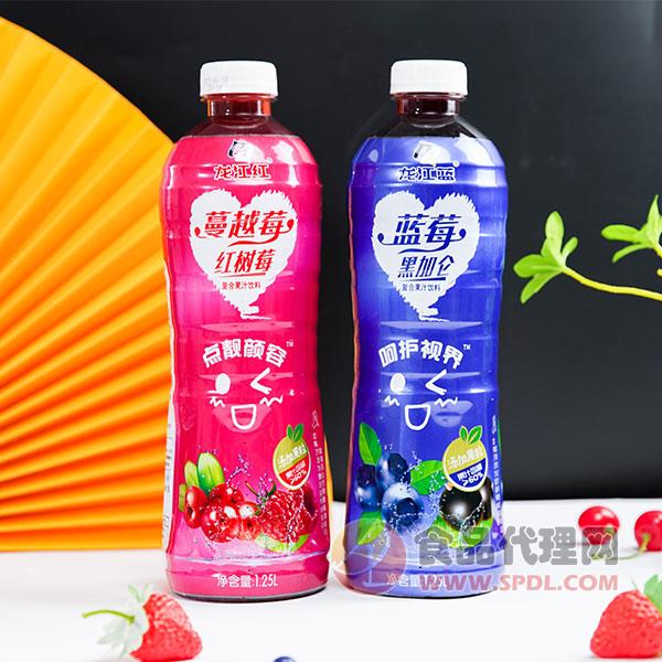 龙江蓝复合果汁饮料1.25L