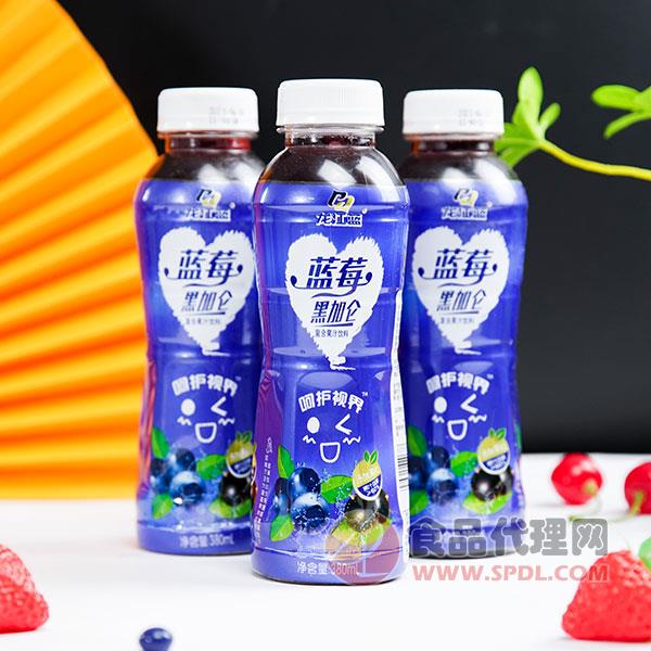 龙江蓝蓝莓黑加仑复合果汁380ml