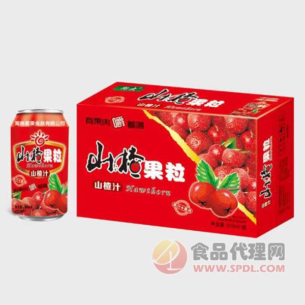 衡大山楂汁饮料礼盒