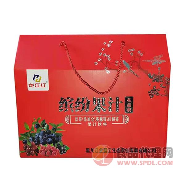 龙江红缤纷果汁饮料礼盒