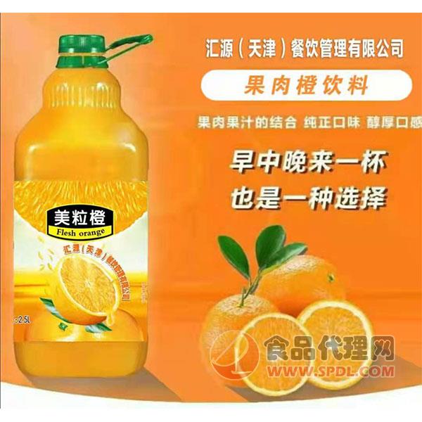 果肉橙汁饮料2.5L