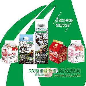 北大荒绿野酸奶饮品300g