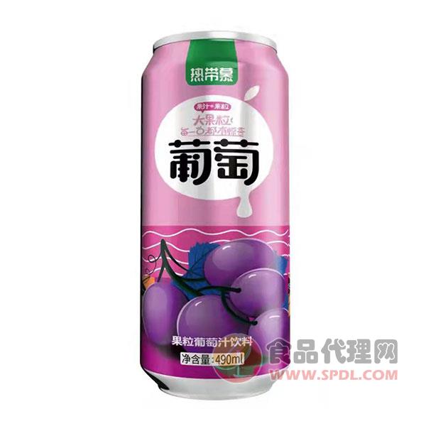 热带慕果粒葡萄汁饮料490ml