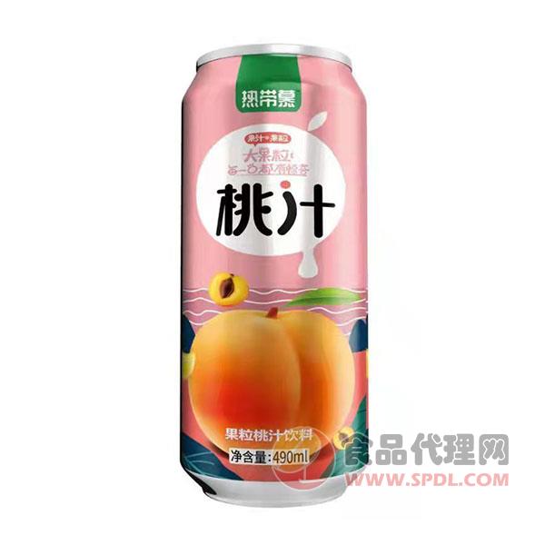 热带慕果粒桃汁饮料490ml