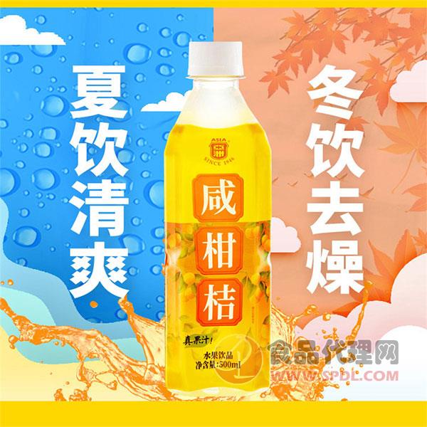 亚洲咸柑桔水果饮品500ml