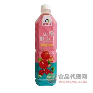 龙江红山楂野山丁复合果汁饮料1.25L