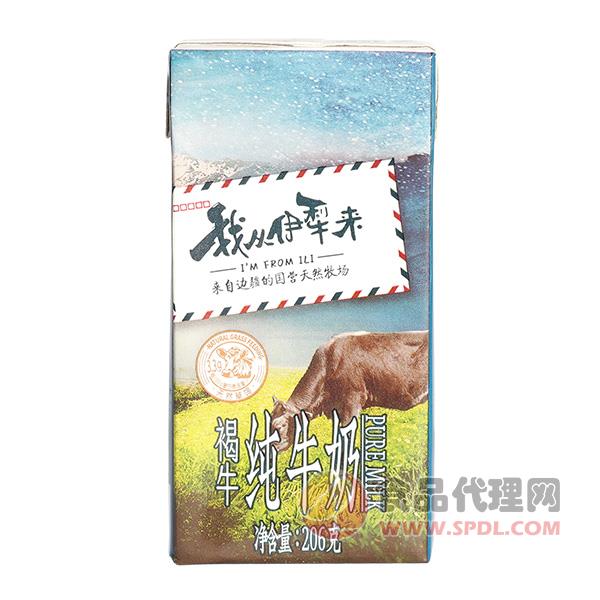 我从伊犁来褐牛纯牛奶206g