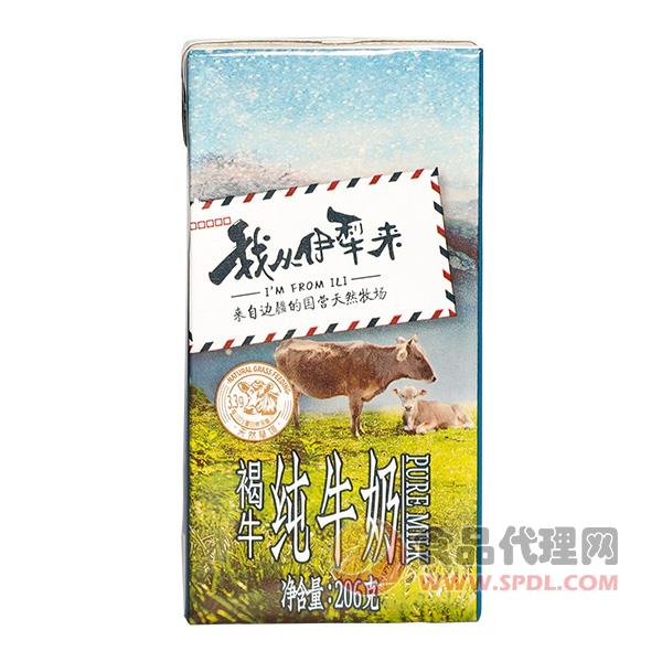 我从伊犁来褐牛纯牛奶206g