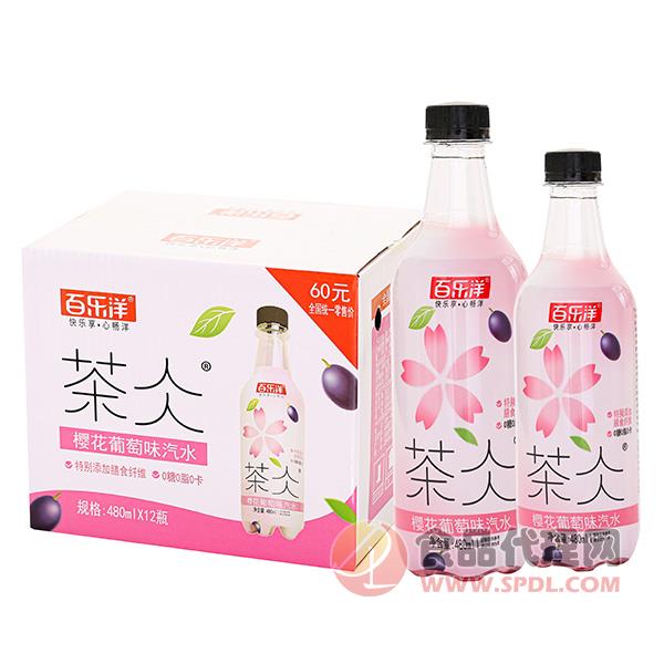 百乐洋茶仌樱花葡萄味汽水480mlx12瓶