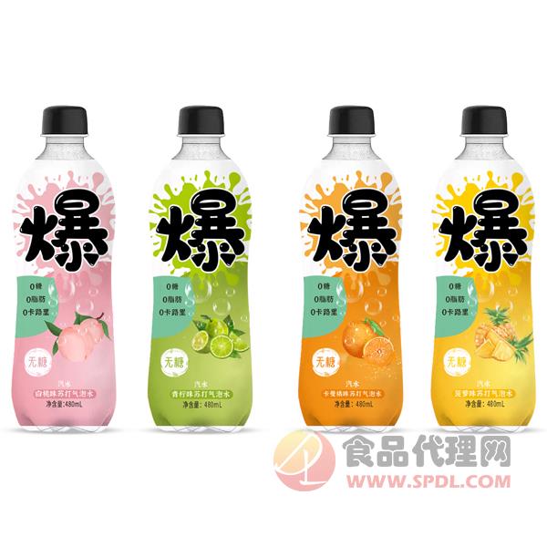 爆汽水苏打气泡水480ml