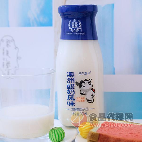 艾尔夏牛澳洲酸奶饮品300ml