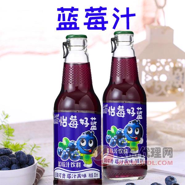 品世怡莓好蓝蓝莓汁饮料300ml