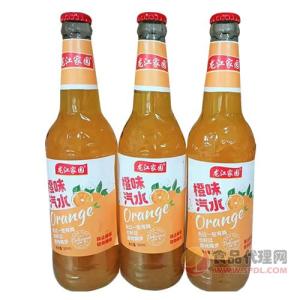 龙江家园橙味汽水饮品580ml