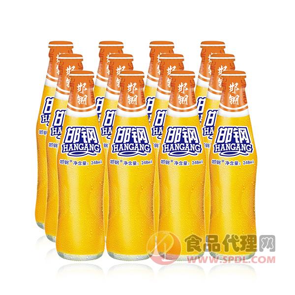 邯钢橙汁汽水248ml