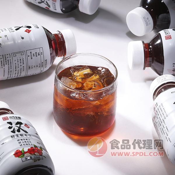汉方生物酵素酸枣汁450ml