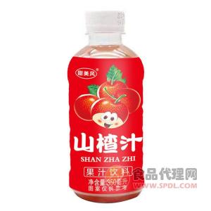 甜美风山楂汁350ml