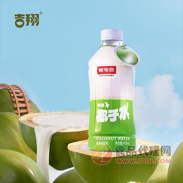 椰甸园椰子水电解质饮料450ml