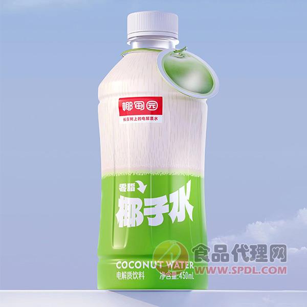 椰甸园椰子水电解质饮料450ml