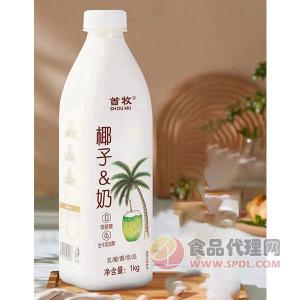 首牧椰子奶饮品1kg