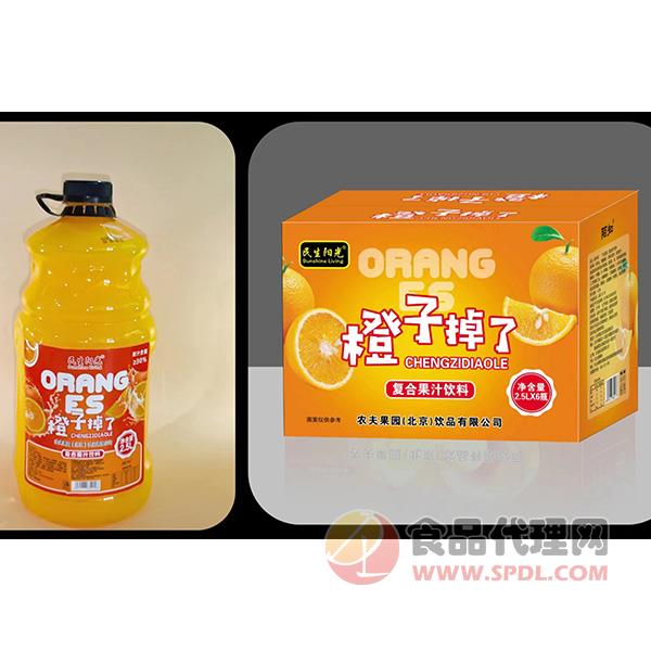 民生阳光橙子果汁饮料2.5Lx6瓶