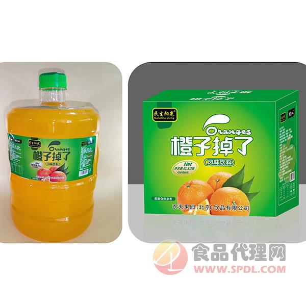 民生阳光橙子果汁饮料5Lx2瓶