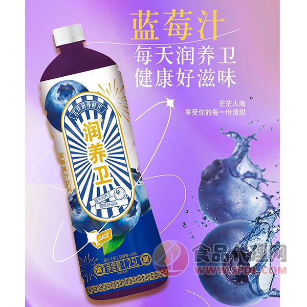 润养卫蓝莓果汁饮料1.25L