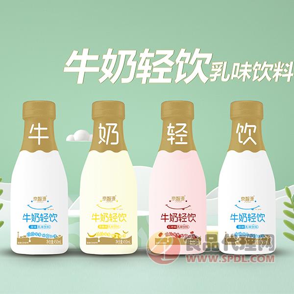 京智源牛奶轻饮乳味饮料450ml