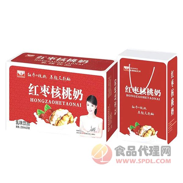 九州华洋红枣核桃奶礼盒
