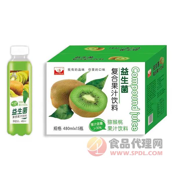 九州华洋益生菌发酵猕猴桃果汁饮料简箱