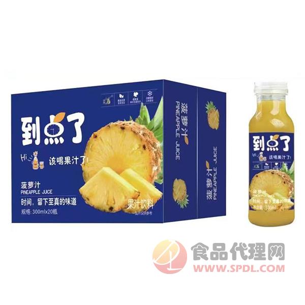 九州华洋菠萝汁果汁饮料简箱