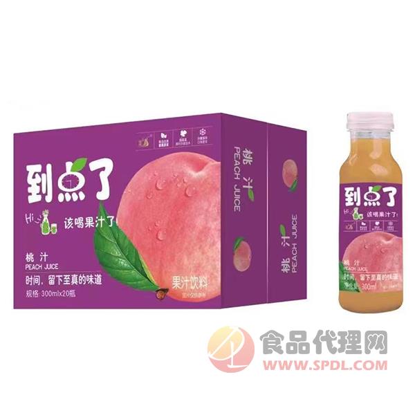 九州华洋桃汁果汁饮料简箱