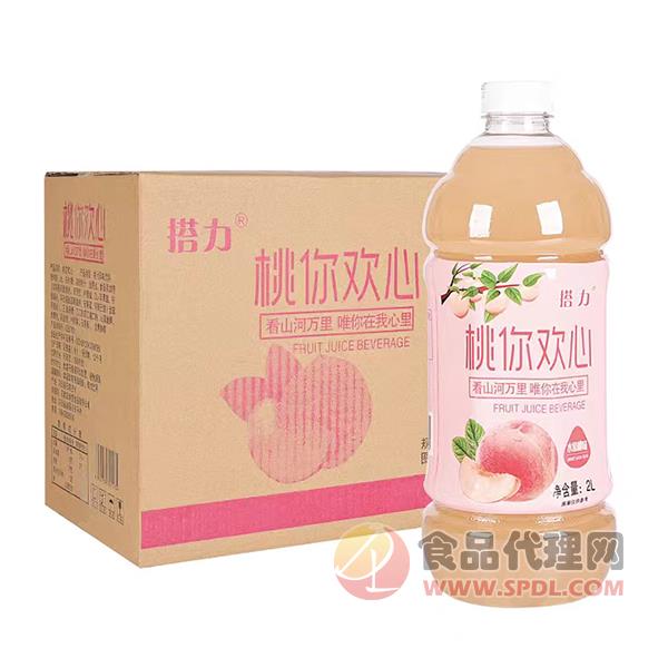 搭力水蜜桃果汁饮料2Lx6瓶