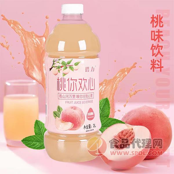 搭力水蜜桃果汁饮料2L