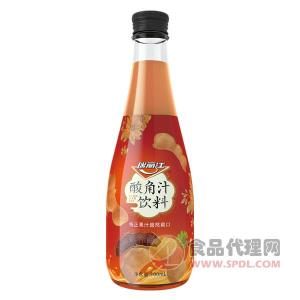瑞丽江酸角汁饮料300ml