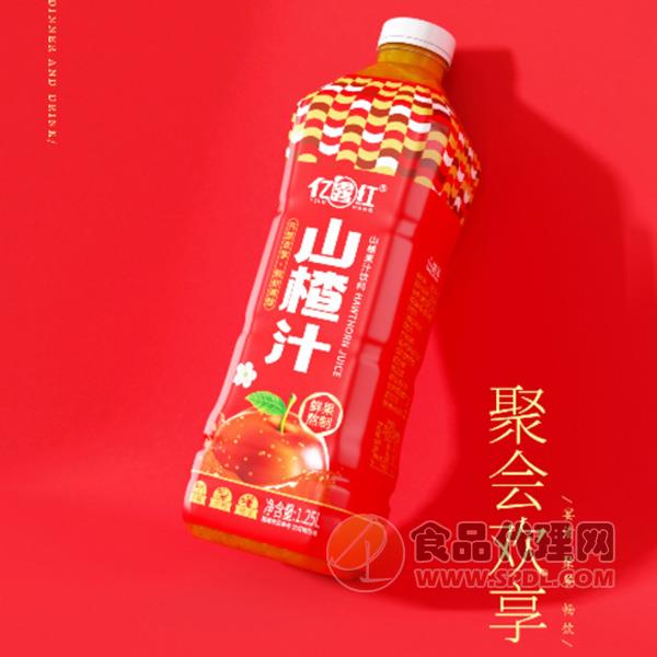 亿露红山楂汁饮料1.25L