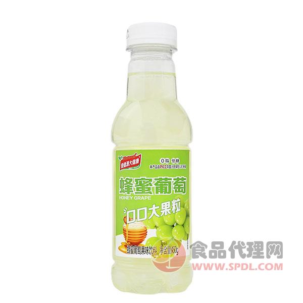 绿健源大健康蜂蜜葡萄饮料450g