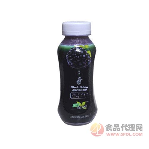 生命之果黑瓶300ml