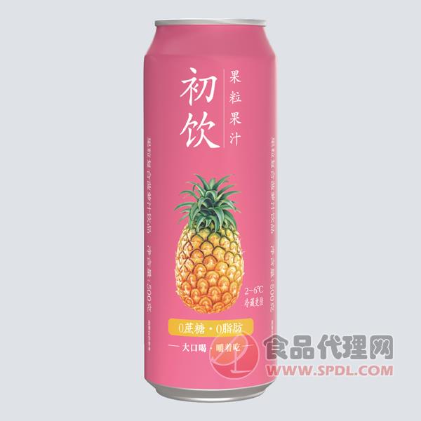初饮菠萝果粒果汁500g