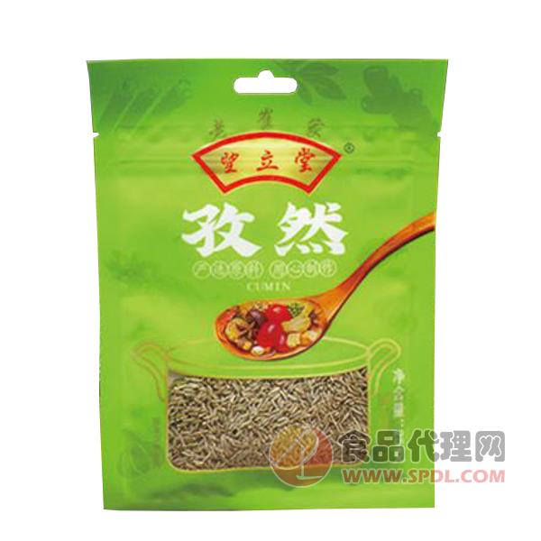 望立堂孜然25g