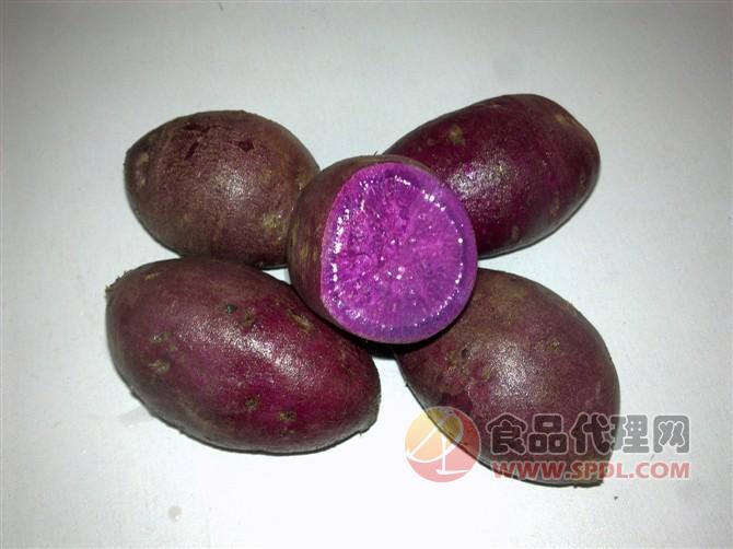 紫番薯招商