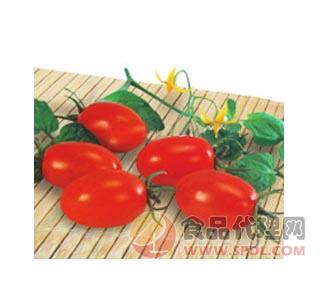 夏红妃F1樱桃番茄种子
