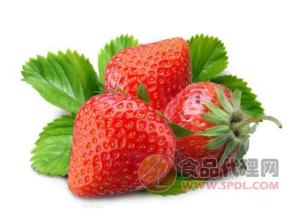 邳州市 草莓