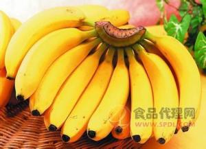 东南亚水果 香蕉