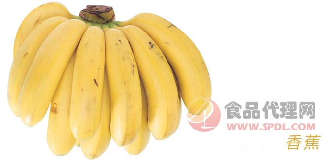 超奇农产品 香蕉招商