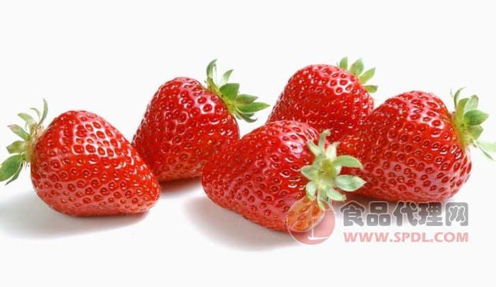 百蔬园 草莓招商