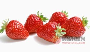 百蔬园 草莓