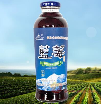 哈尔滨蓝莓低糖饮料