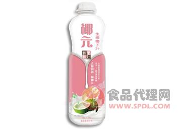 椰元椰汁--1.25L塑料瓶装